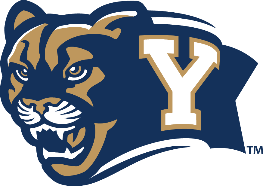 Brigham Young Cougars 2005-2014 Alternate Logo iron on paper